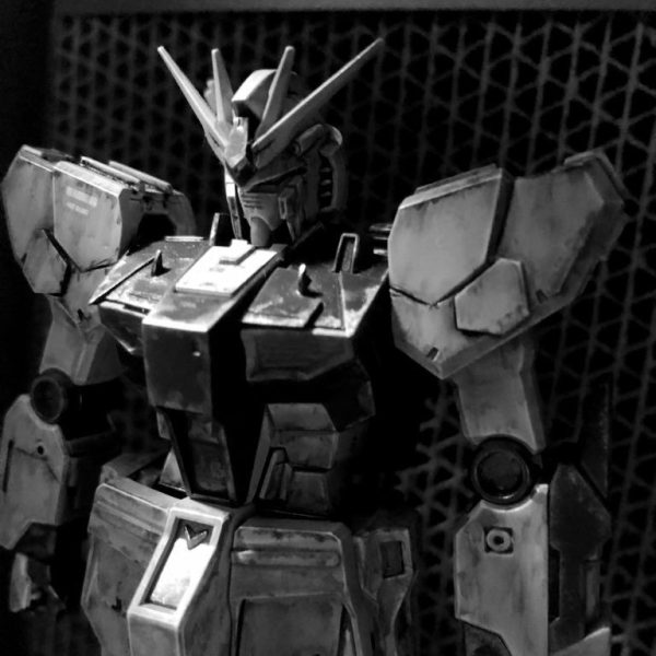 初投稿です！EG νガンダム