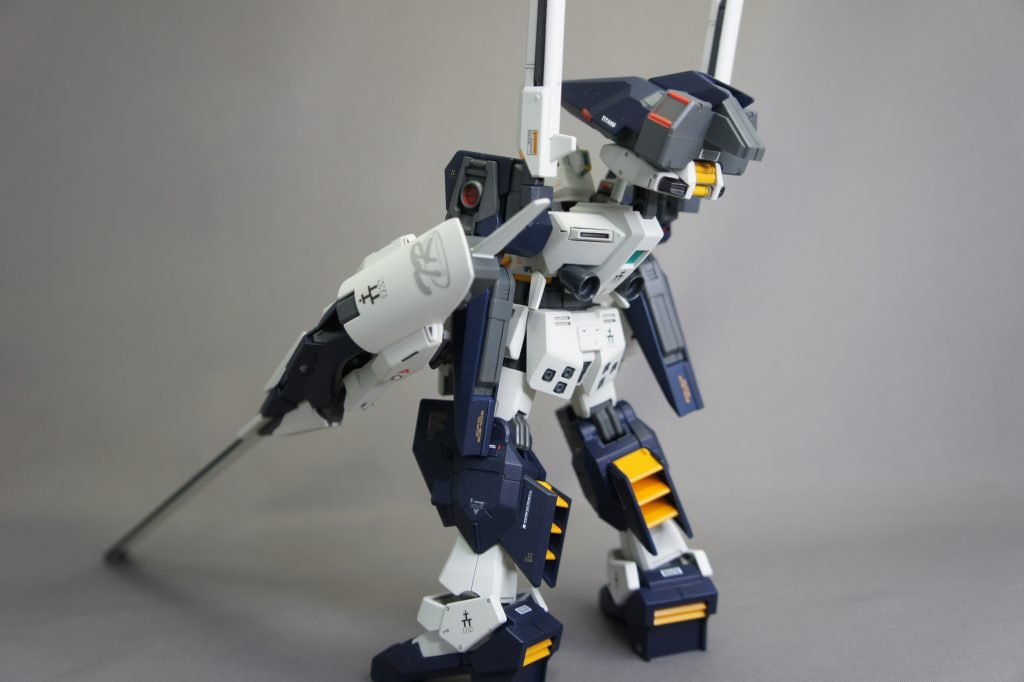 バックショットです。後ろからのデザインが個人的には好きです。