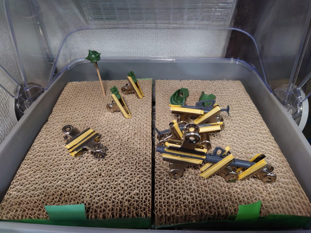 白ビンむにゅからの乾燥工程。YAMAZENの乾燥機は本当にありがたいです神