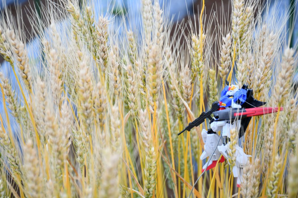 成功ショット、実は針金で支えて画像処理してけしました。