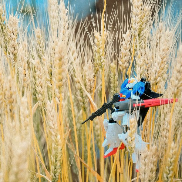 遊びてやってんじゃないんだよ！