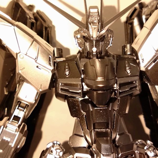 成型色の部分を塗装したシルバーコーティングフリーダム