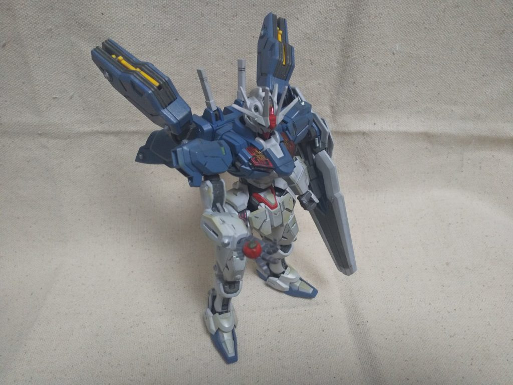 一応トマトも作りました。巨大トマトです。