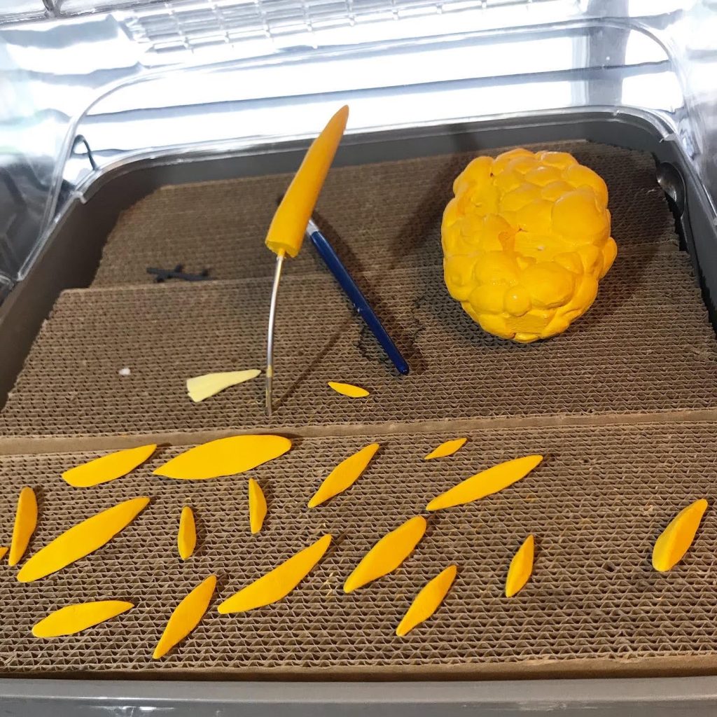 塗装もダイソーのアクリル絵の具で刷毛塗り