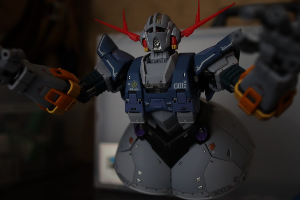 正面ポーズ、暗すぎ😇