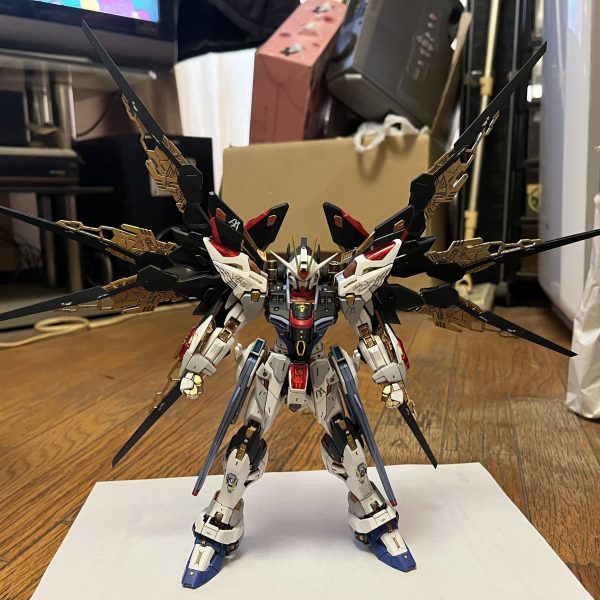 MGEX ストライクフリーダムガンダム ありがとう。これで僕はまた、ちゃんと戦える！