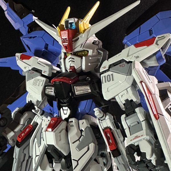 MGSD フリーダム　