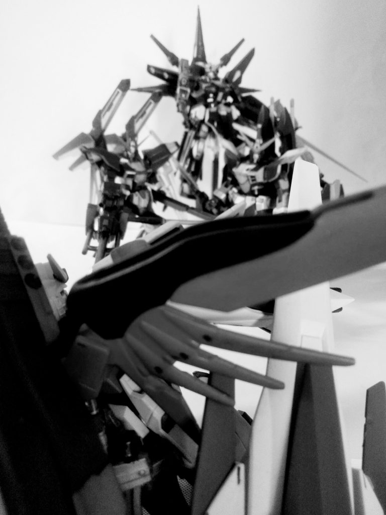 シン『どけっ！！オレは議長に話があるんだっ！！』　｢｢｢………此処から先は……通さない……｣｣｣お目汚し ありがとうございました。