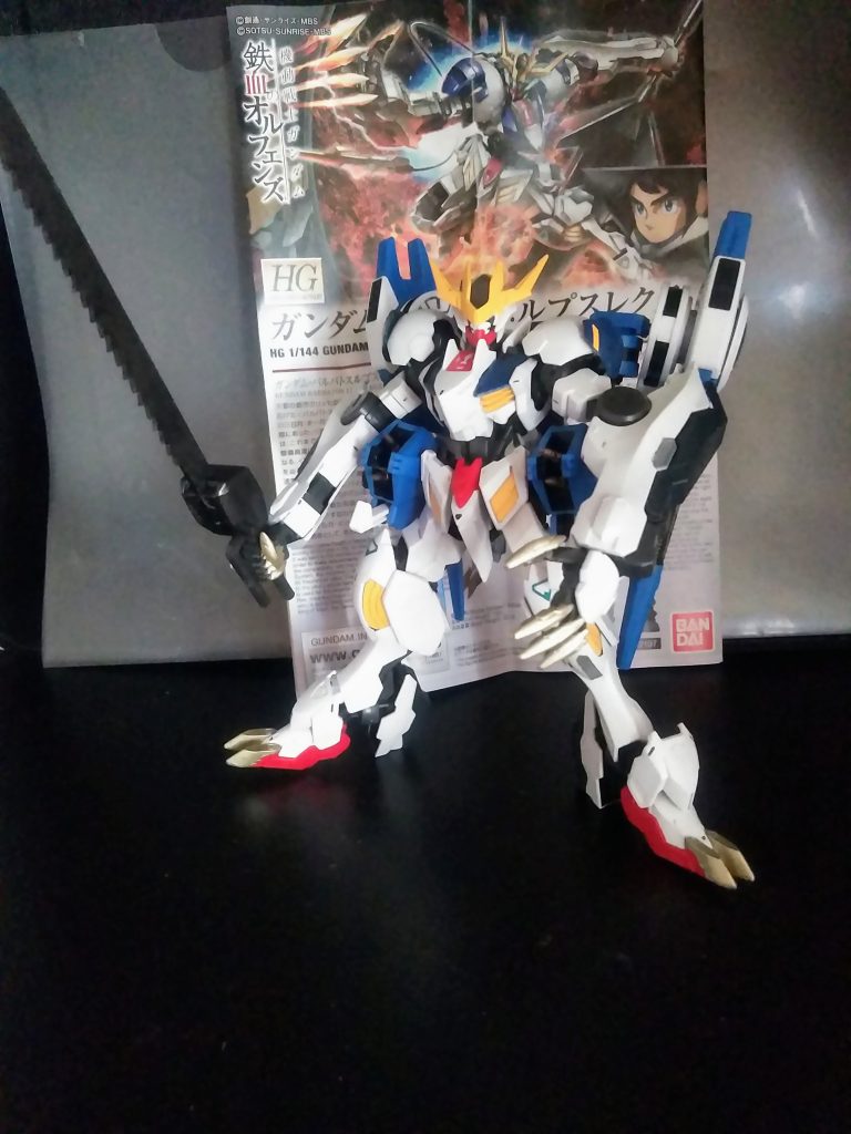 この子は記憶に新しい 2017年生まれ😊　いつも通りに盛って有ります😤