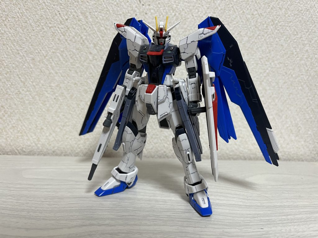 フリーダム ディテールアップ–2枚目/制作者：RKN-06