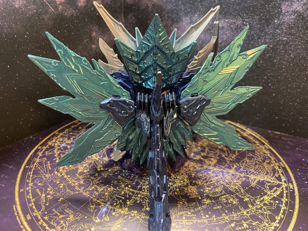 いつもの後ろ姿。工夫はありませぬ。