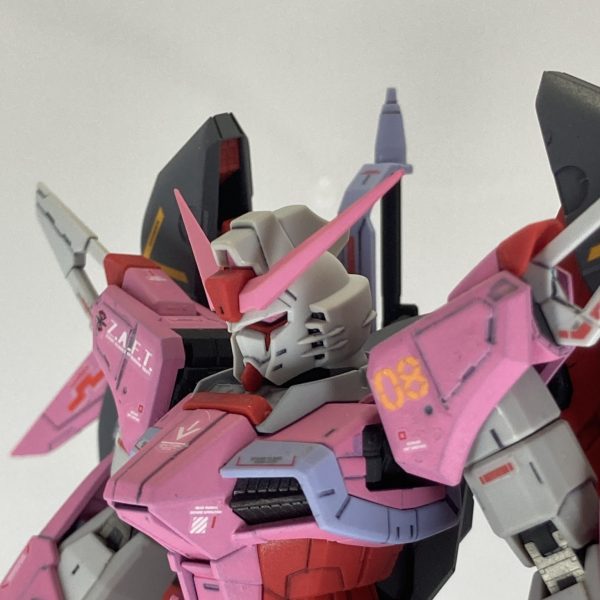 ZGMF-X42S Destiny Gundam “cherry blossom ”