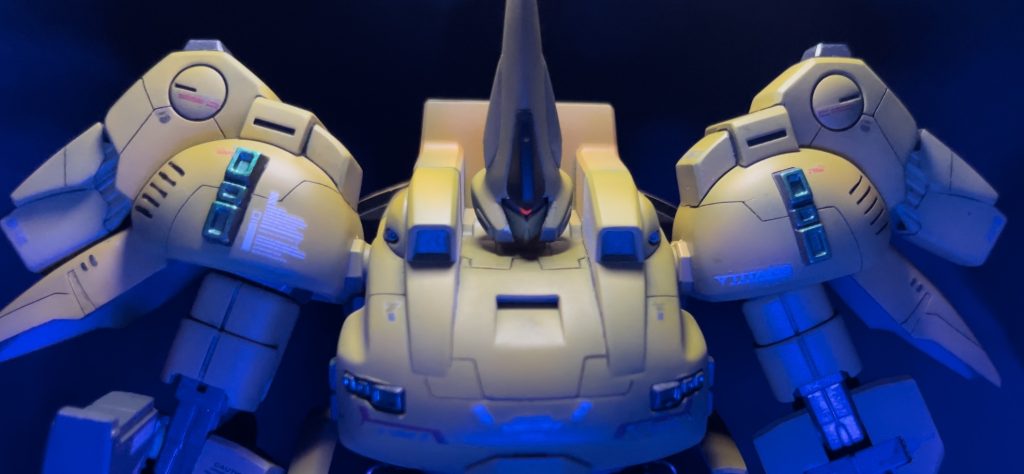 正面から♪怪しく光る目が上手く撮れました٩( ''ω'' )و