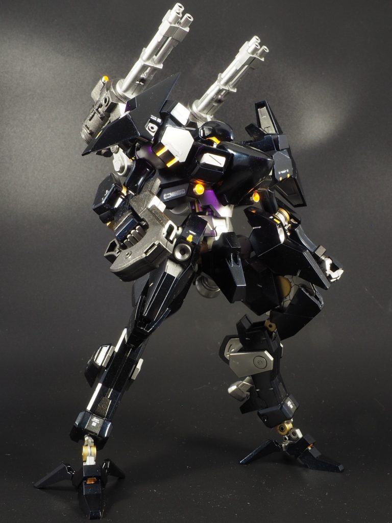 アオリ。黒寄りの青がメインカラーだからかブロワーと筆を駆使してもホコリが目立つ…