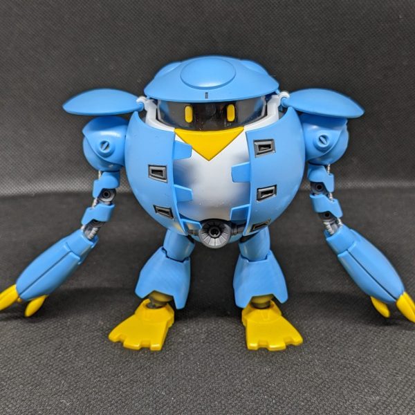 HG　モモカプル