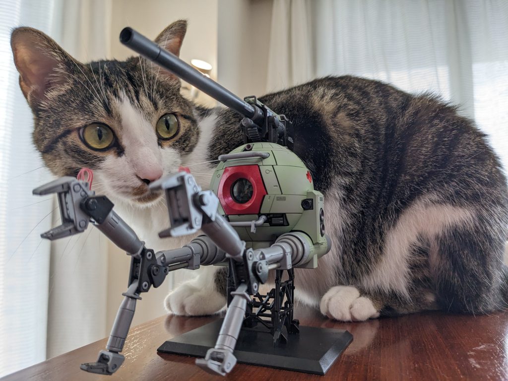 突如画角に入ってくる宇宙ネコ!ボールに興味津々です。ボールからの推定全長は80m級…MAクラスです!逃げて〜!