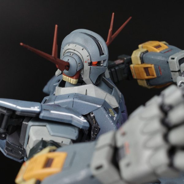 RG 1/144 ジオング MSN-02 ZEONG