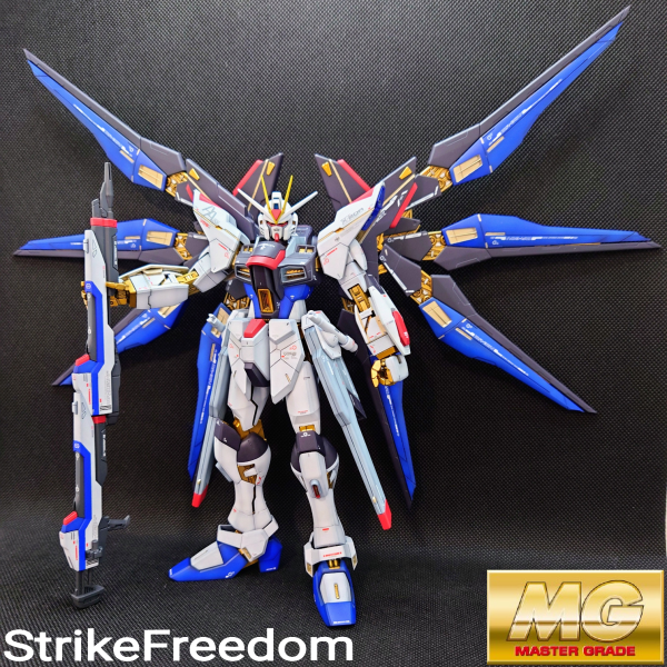 ストライクフリーダムガンダム　MG