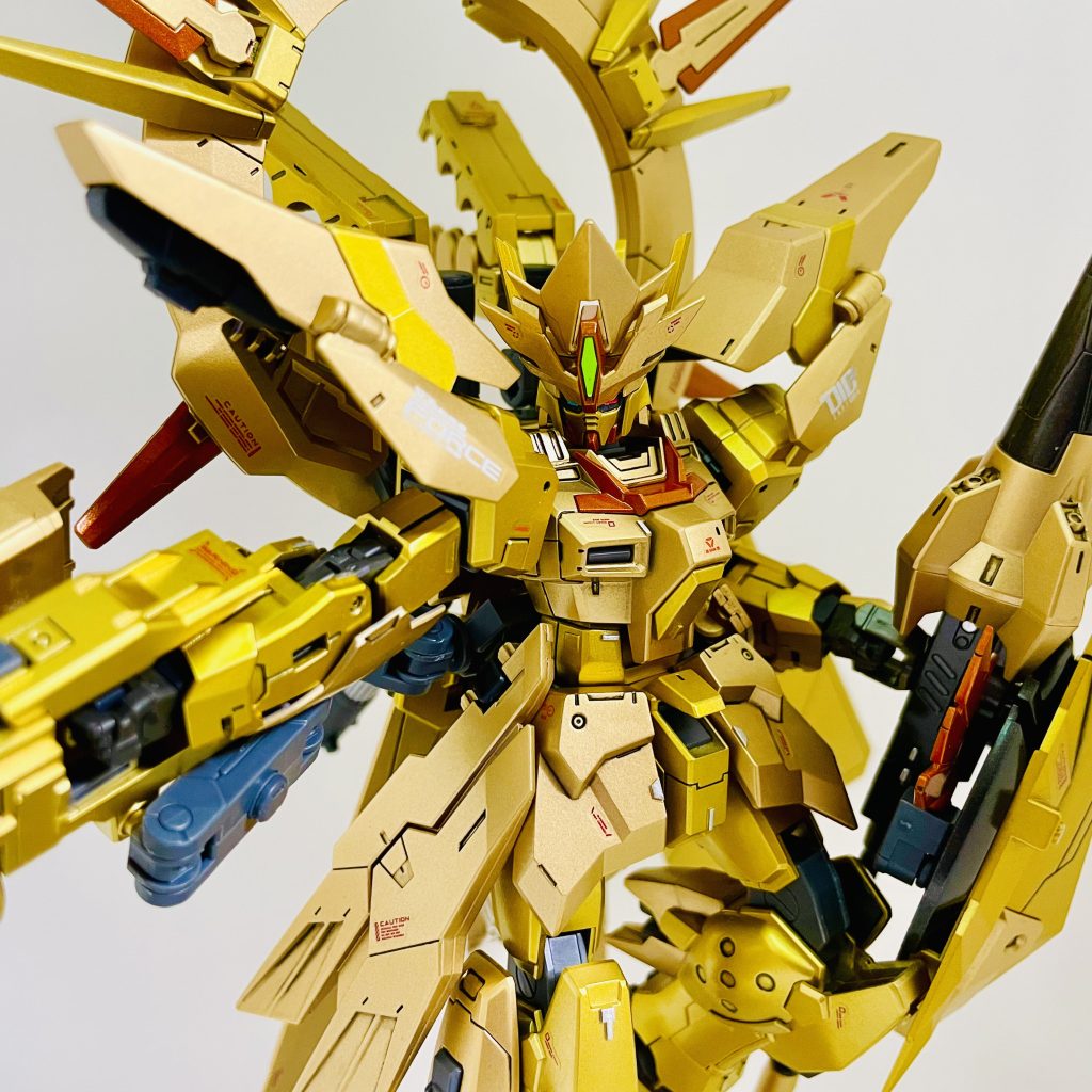 今回のベストショット!今更ですが、「二面性の神」ということでカメラアイはオッドアイになっております!