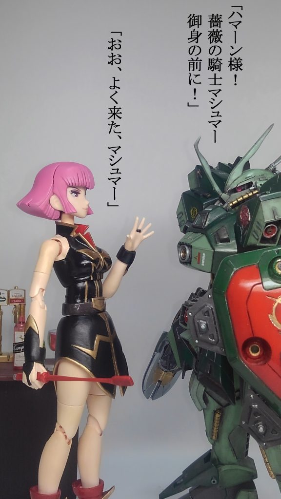 ハマーン & ハンマハンマ–5枚目/制作者:TOMSIM