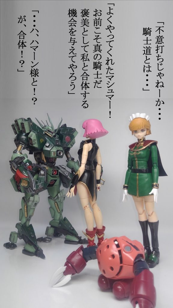 ハマーン & ハンマハンマ–6枚目/制作者:TOMSIM