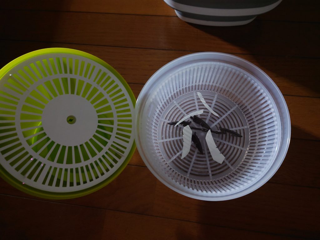 今回から中性洗剤洗いとサラダスピナーを取り入れました