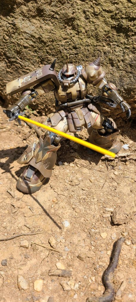 迷彩って本当に溶け込む効果ありますね( *´艸`)