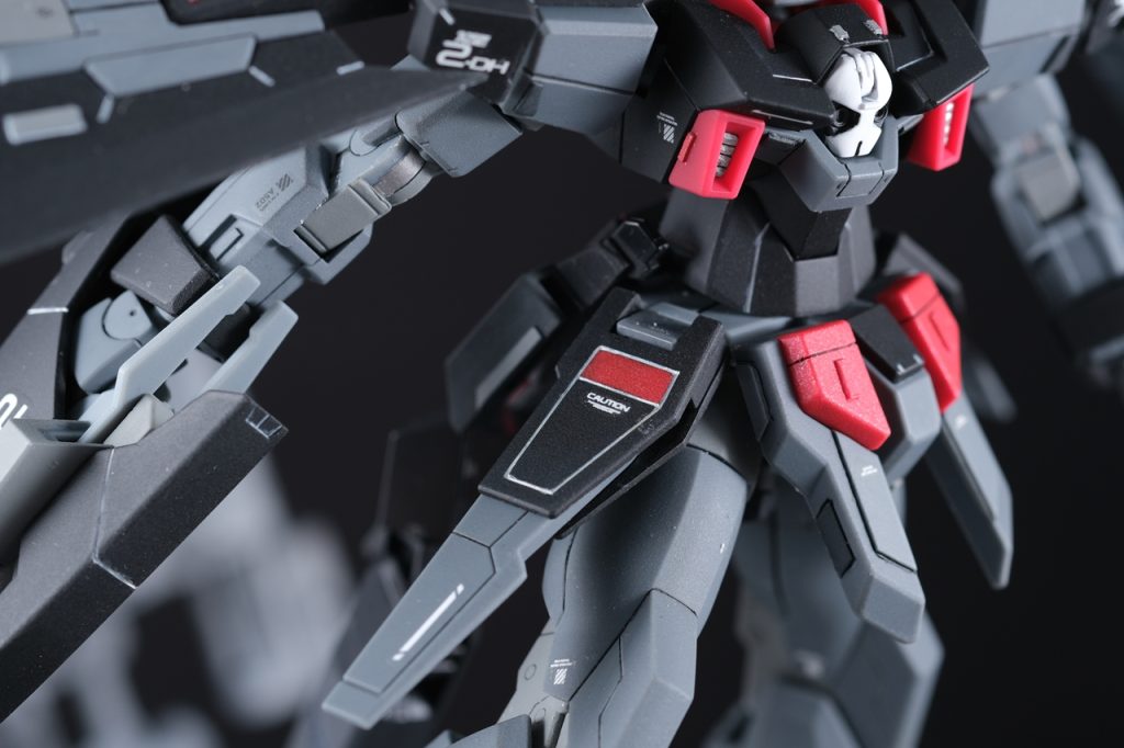 ↑腰あたり。フロントアーマーはだいぶいじりました。サイドはスジボリで縁取りしました。白いスミ入れがうまくいったなと思います。