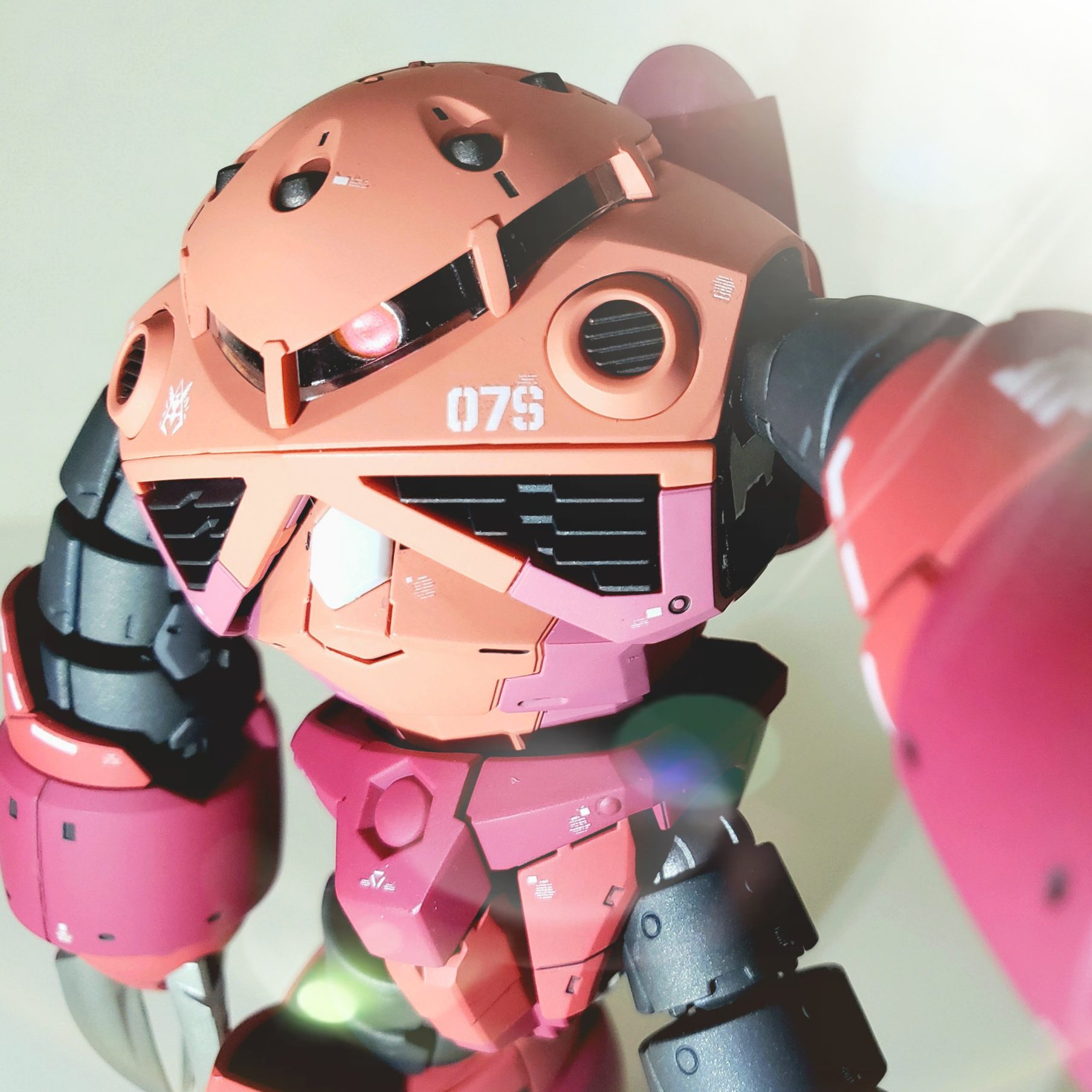 RG No.16 MSM-07S シャア専用ズゴック｜ねこロンビアさんのガンプラ