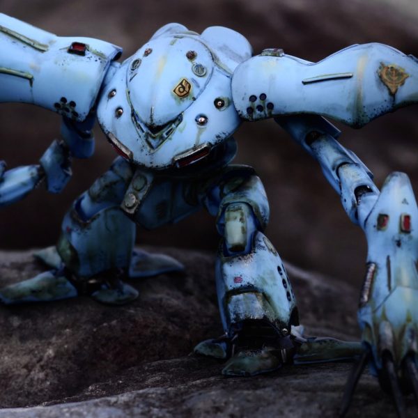 田舎まで出張したハイゴッグ