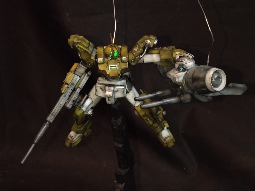 もはやペット（笑）