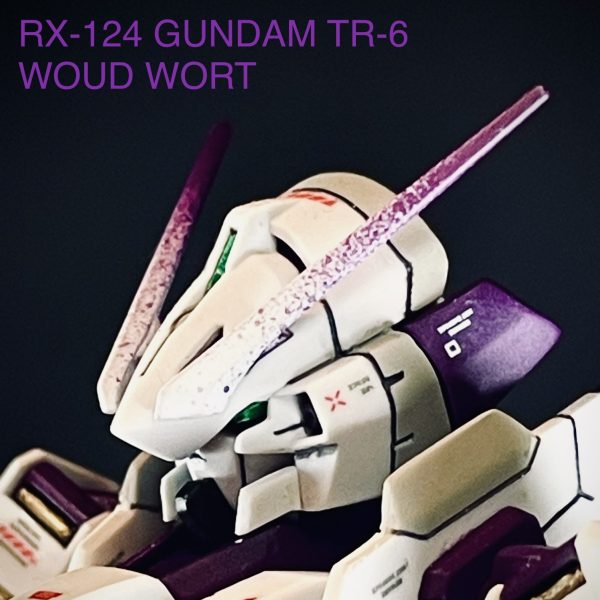 HGウーンドウォート