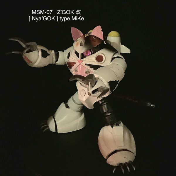 HGUC ズゴック改  〔ニャゴック 三毛型〕