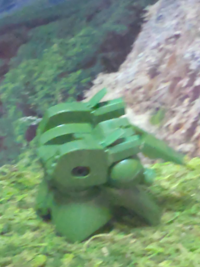 いつも撮影忘れる💦ある程度組んでから撮影