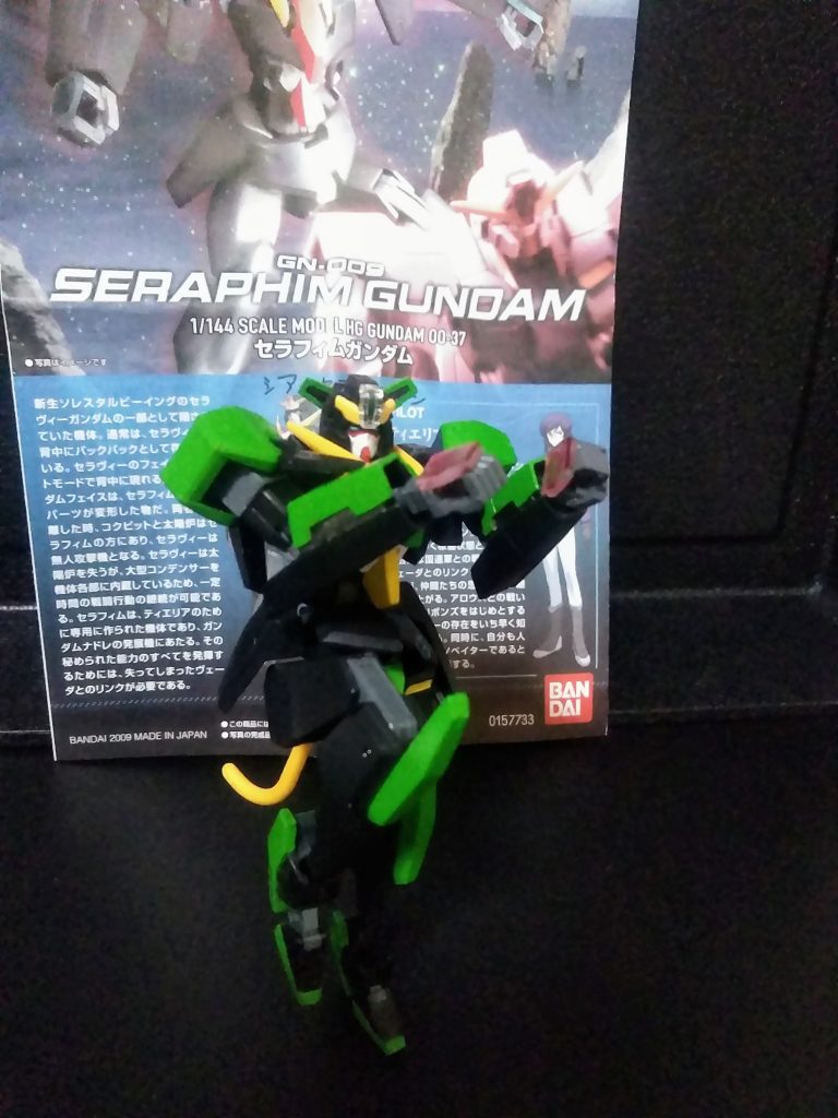 片足立ちもこの通り(バックが黒くてわからん😠)