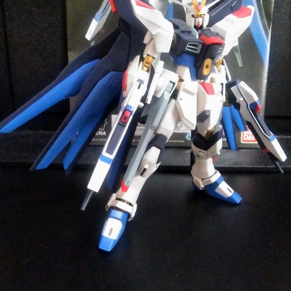 HGCE ストライク フリーダム ガンダム