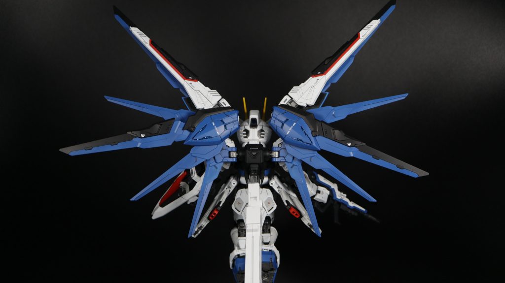 バックショット