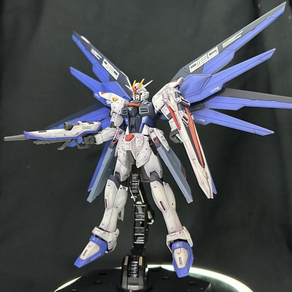 HGCE フリーダムガンダム