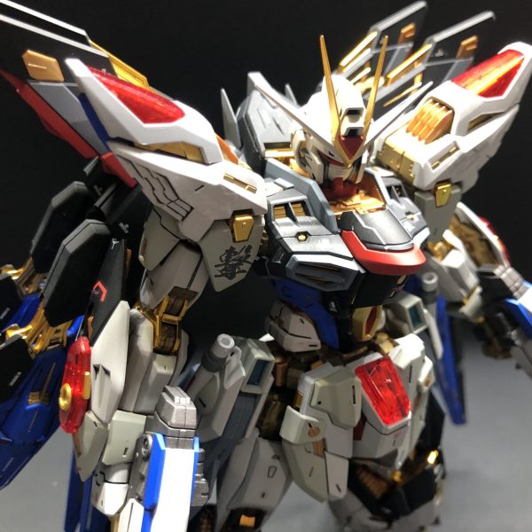 MGEXストライクフリーダム半年間積んでやっと作る気になりました。