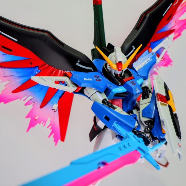 HGディスティニーガンダム　全塗装