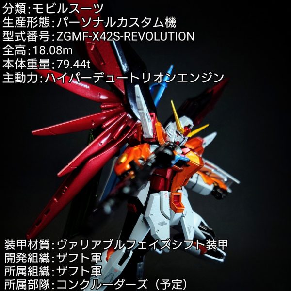 HG ハイネ専用デスティニーガンダム