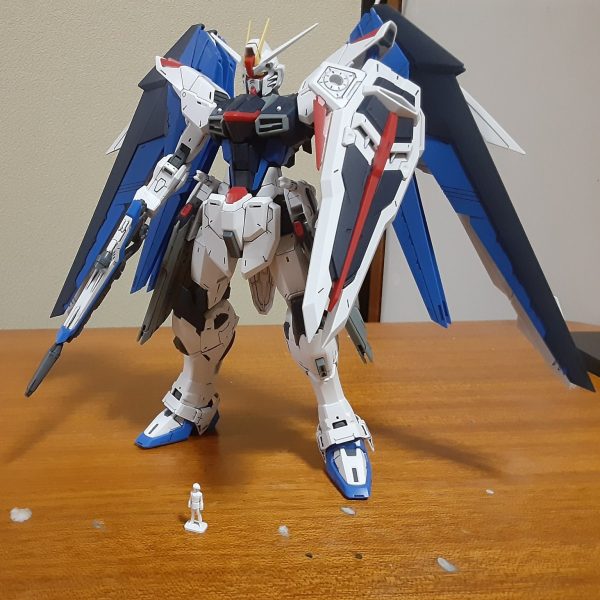 MGフリーダムver2.0