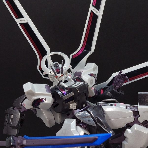 HG シュバルゼッテ メタリック/パール全塗装
