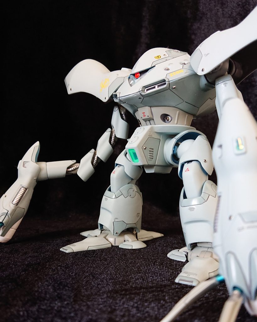 意外と大きいのよぉ。あおり写真が更に迫力を引き立てますなぁ😊