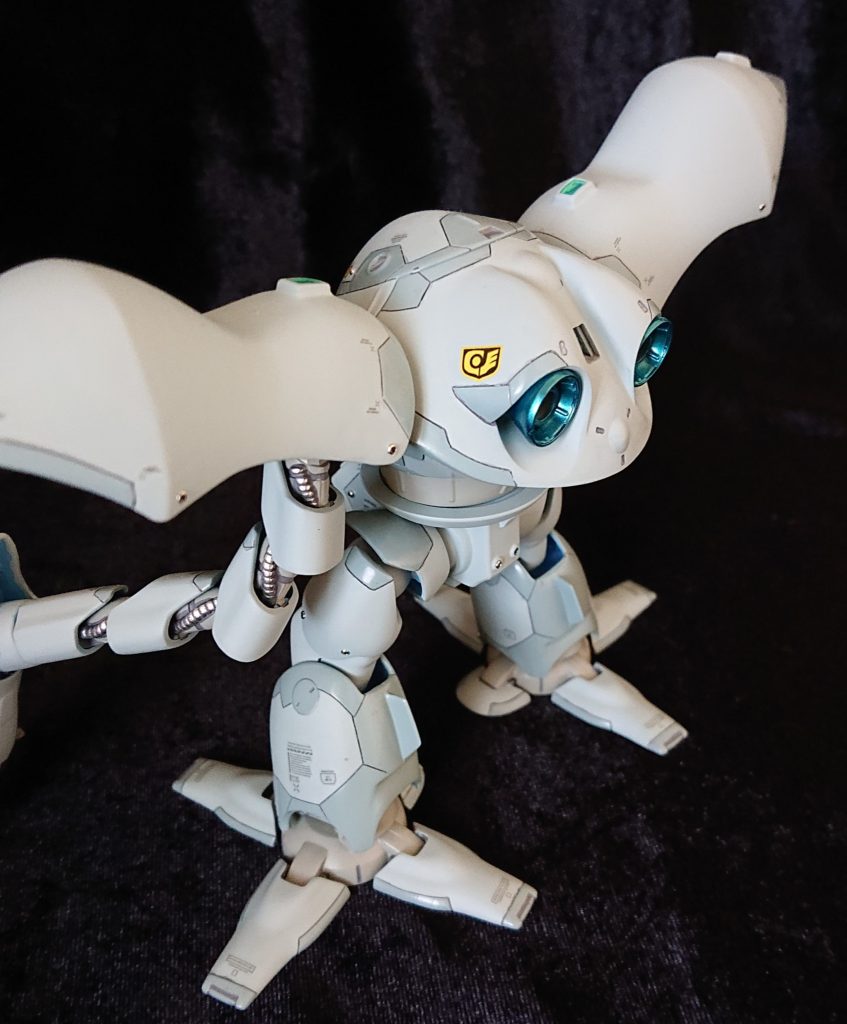 後ろ姿を眺めていると、皆さんと同じように、もう🐸(カエル)にしか見えません😁。一度で二度楽しめます☺️ ↓それでは、ブンドドを（うちのイメージです😑）