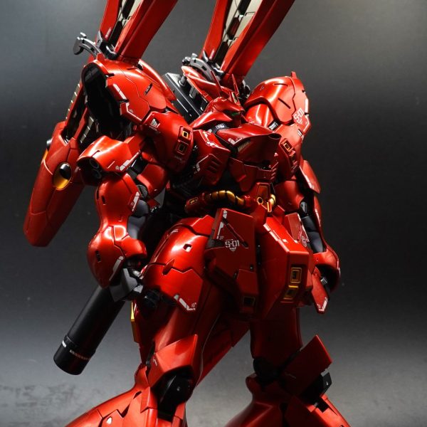 塗装済み完成品 MG ゴック 214