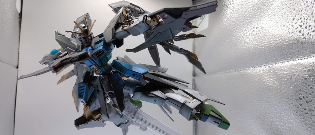 (種ポーズがどう言った塩梅だったか忘れかけてる顔)