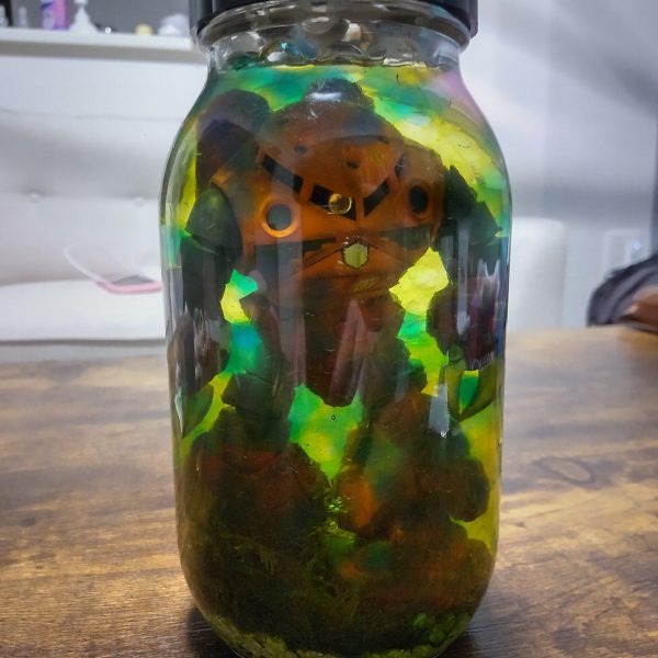 ズゴック水中ジオラマ