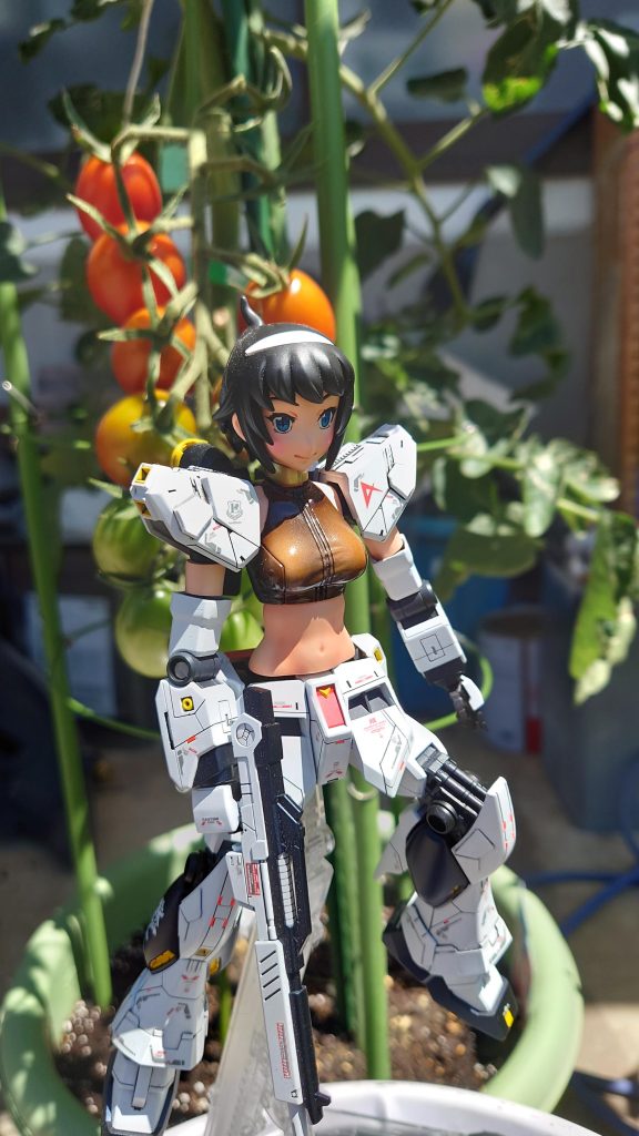 トマト♪(⁠ ⁠ꈍ⁠ᴗ⁠ꈍ⁠)