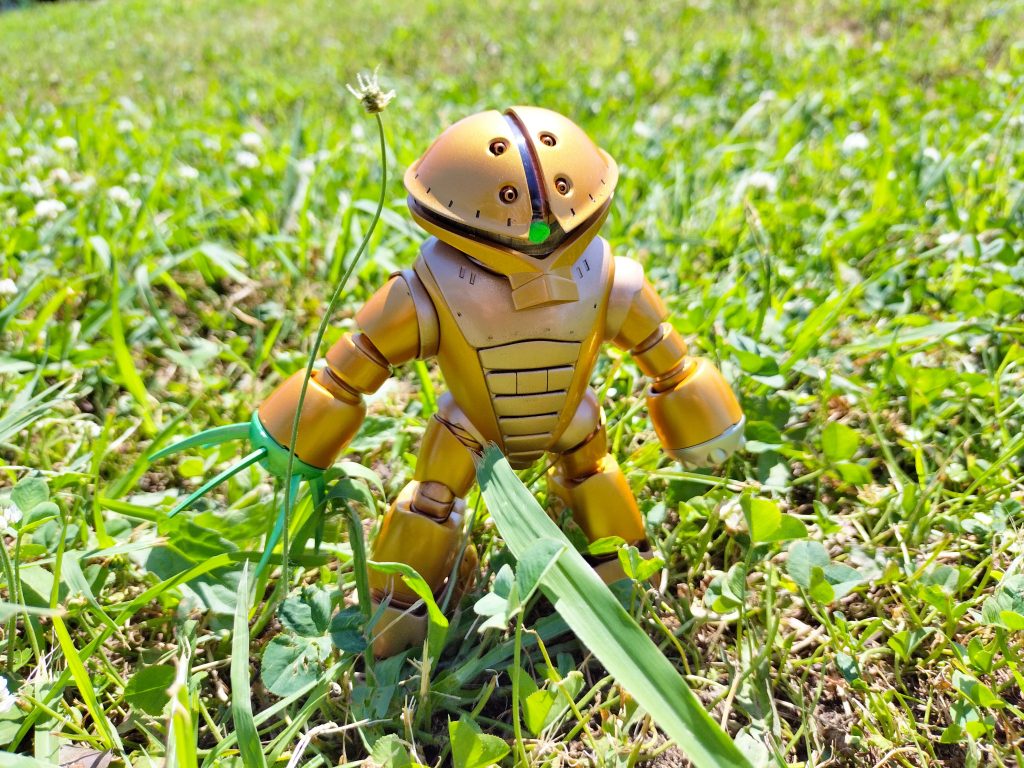 金色の妖精～レア個体。見つけた人に幸福をモタラス～